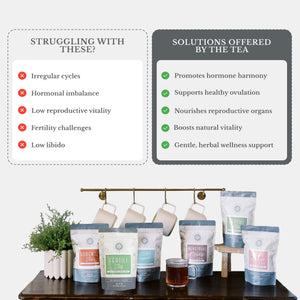 FertiliTea Hormone Balancing Tea - Pregnancy Boost your fertility with FertiliTea’s hormone-balancing loose leaf tea.