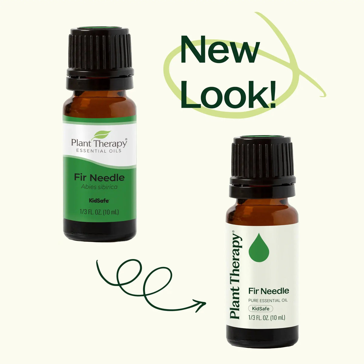 Fir Needle Essential Oil - Oils