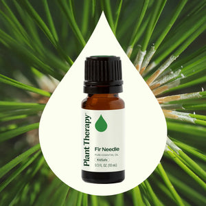 Fir Needle Essential Oil - Oils