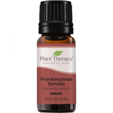 Frankincense Serrata Essential Oil - Oils