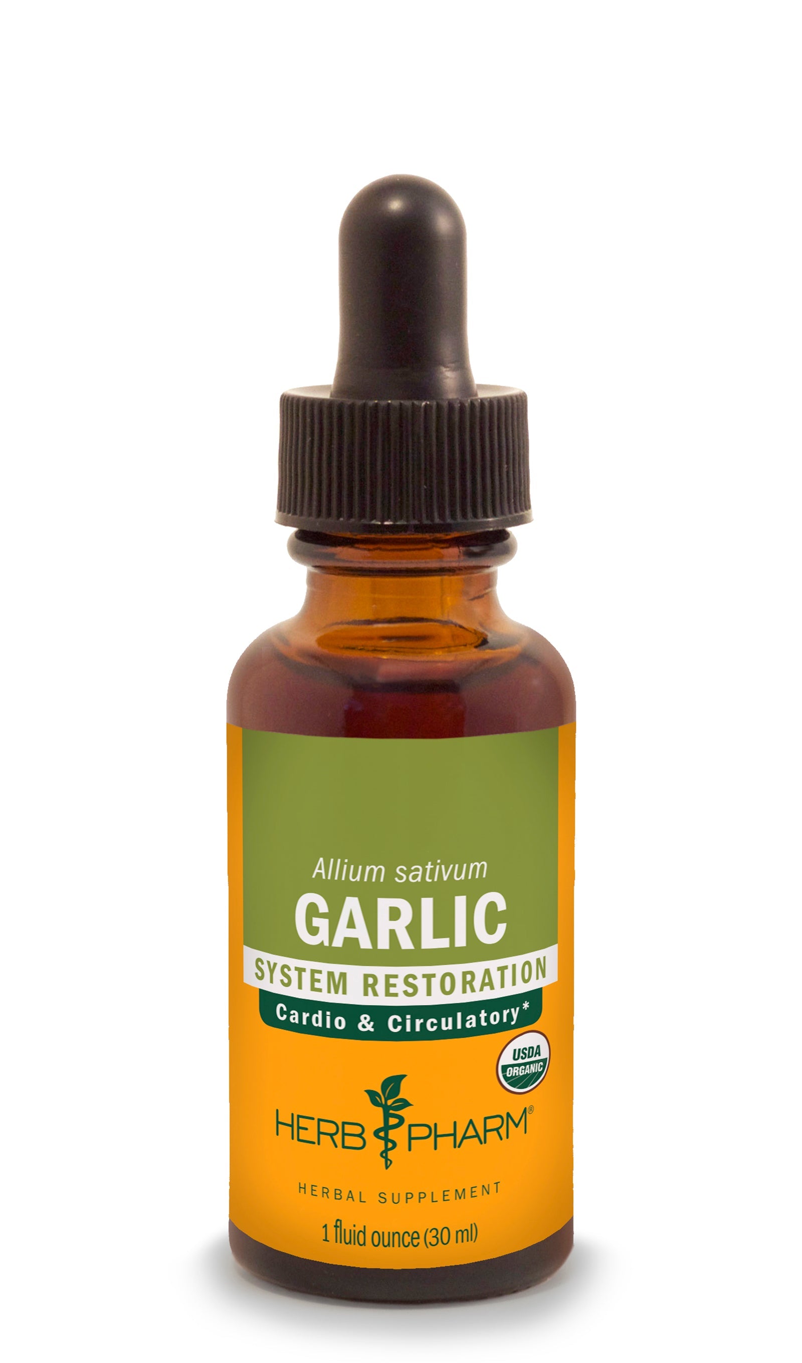 Garlic Extract - Extracts