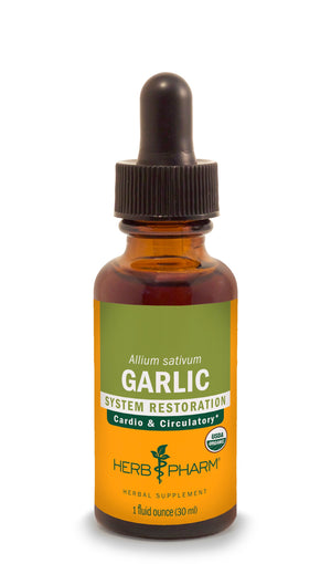 Garlic Extract - Extracts