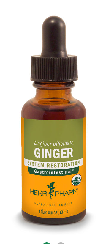 Ginger Extract - Extracts