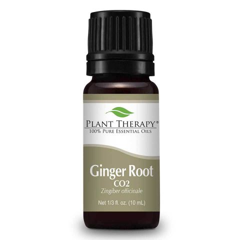Ginger Root Essential Oil - Oils