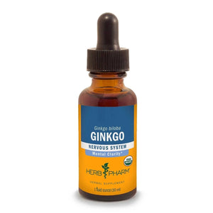 Gingko Extract - Extracts
