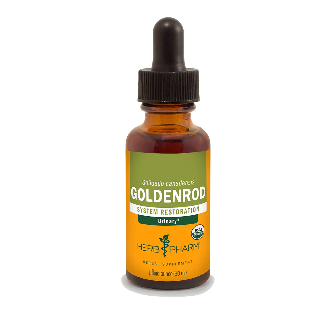 Goldenrod Extract - Extracts