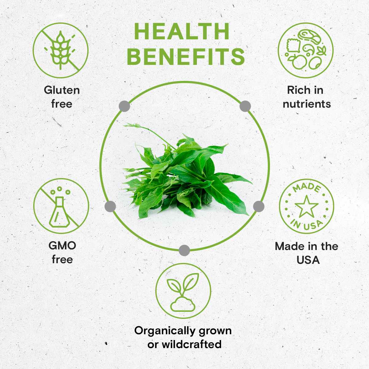 Gymnema Tincture - Extracts