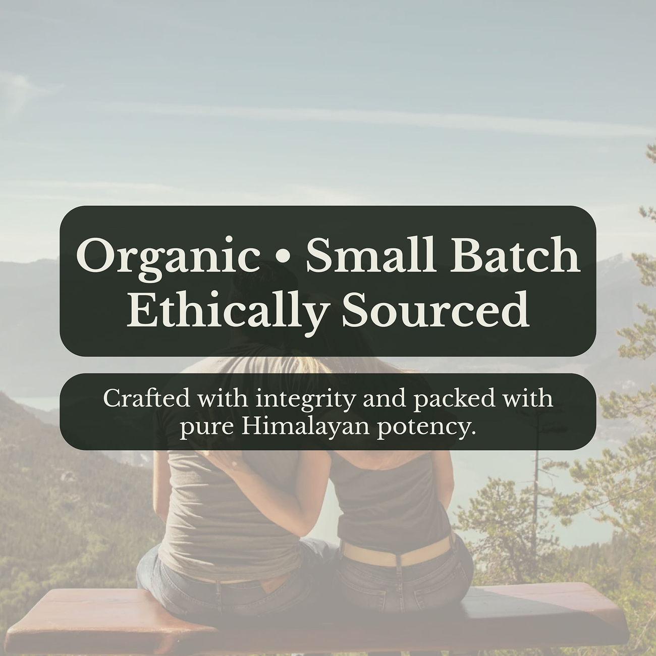 Himalayan Shilajit Liquid Drops - Apothecary