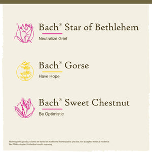 Hope & Joy Kit Bach Flower Remedies - Apothecary