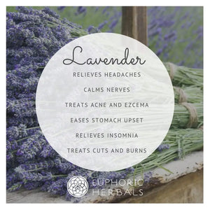 Lavender Flowers - Herbs Discover the beauty and benefits of flowers! From baking to essential oil uses. Learn about