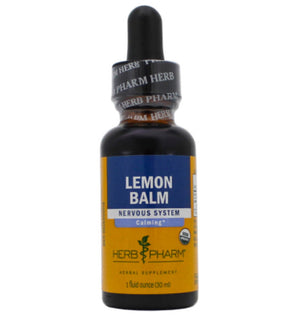 Lemon Balm Extract - Extracts