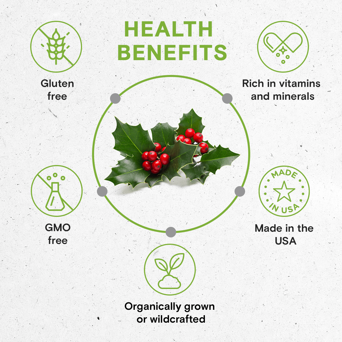 Mistletoe Tincture - Apothecary
