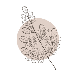 Moringa Leaf