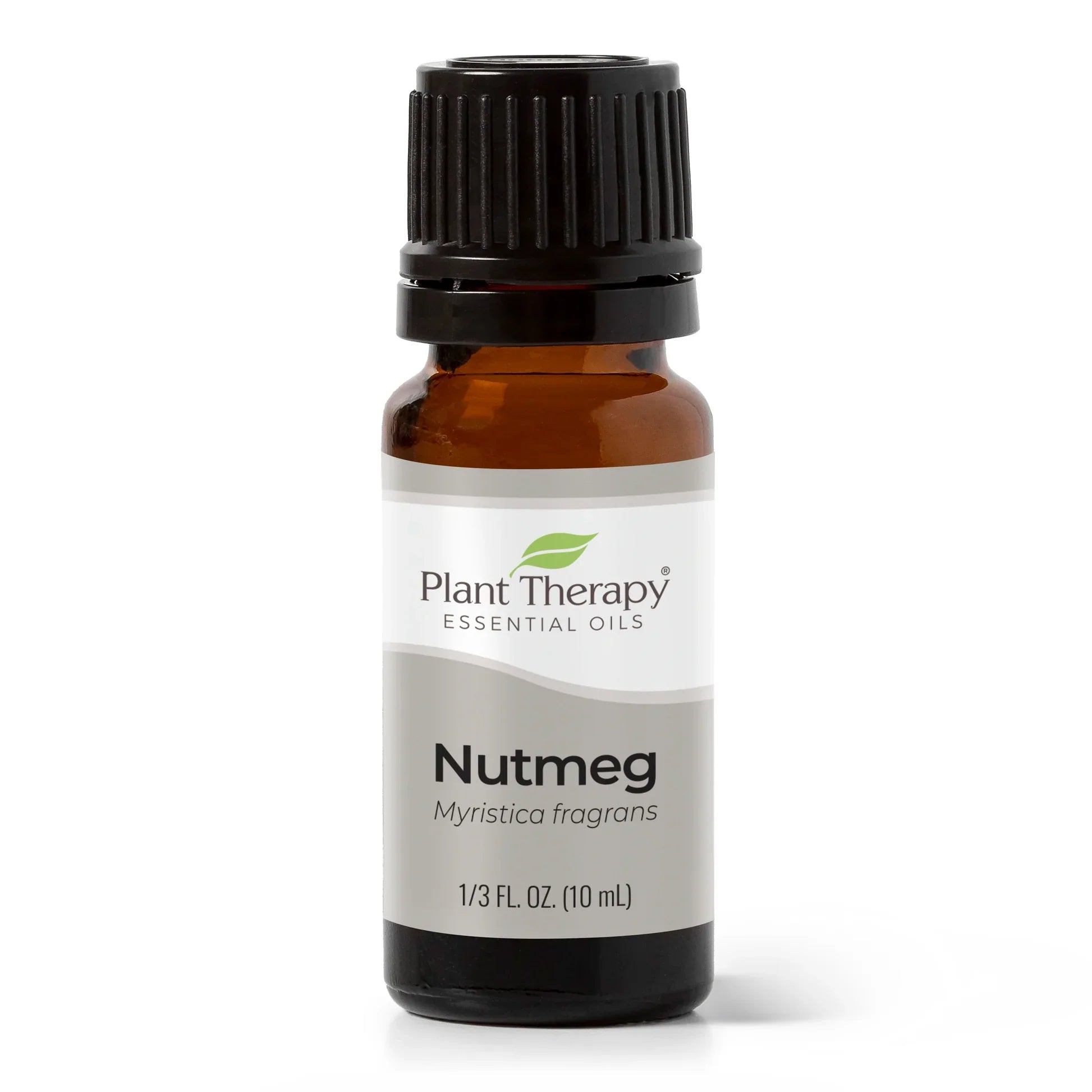 Nutmeg Essential Oil - Oils