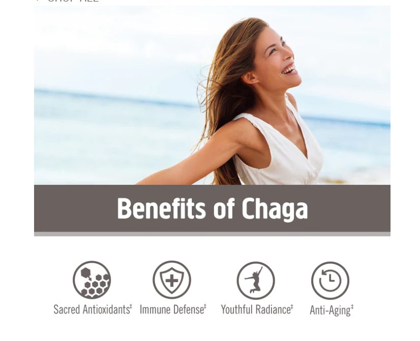 Chaga Mushroom Powder