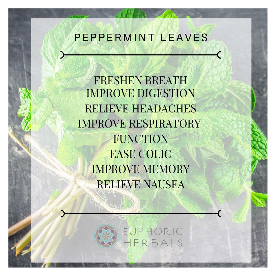 Peppermint Leaf - Herbs Discover pure freshness with our peppermint leaf! Elevate your teas recipes and wellness