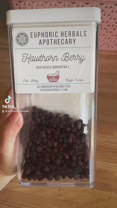 Hawthorn Berries