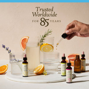 Rock Water Bach Flower Remedies - Apothecary