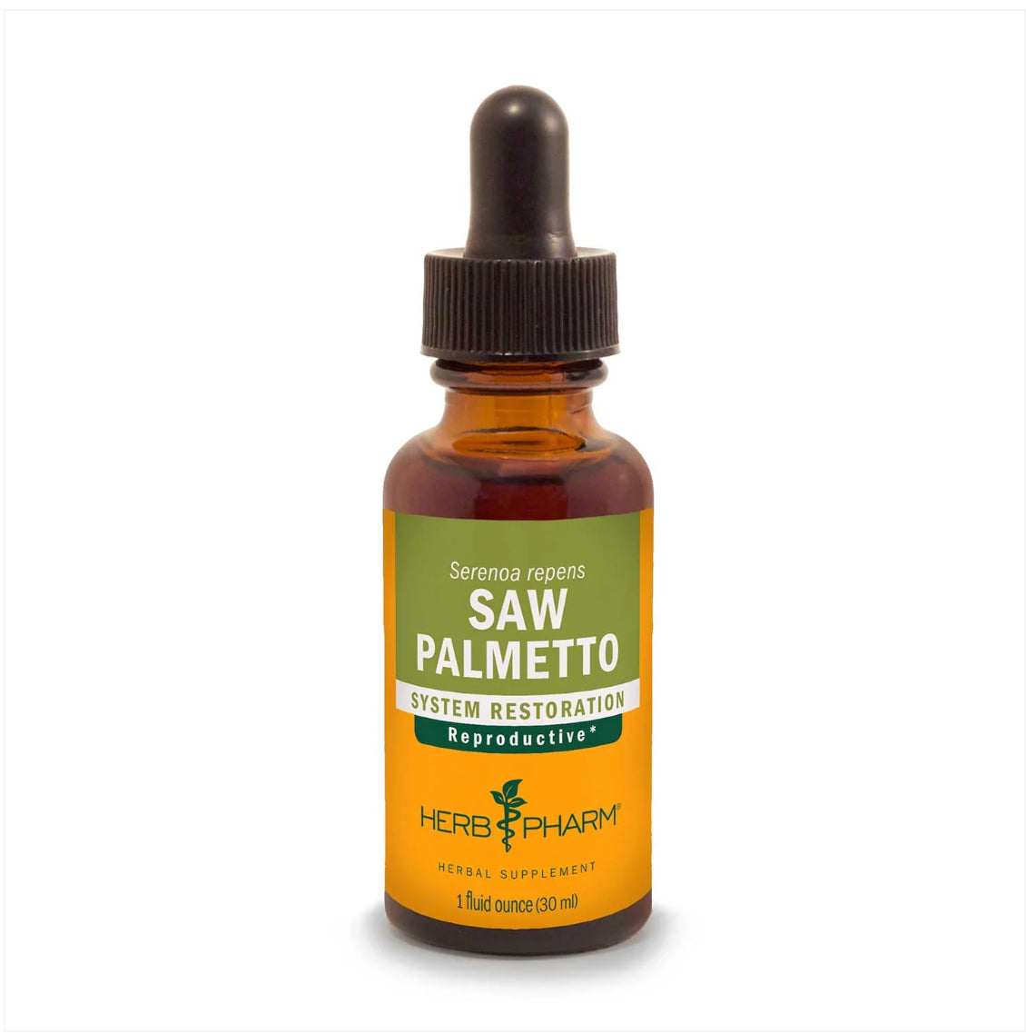 Saw Palmetto Extract - Extracts