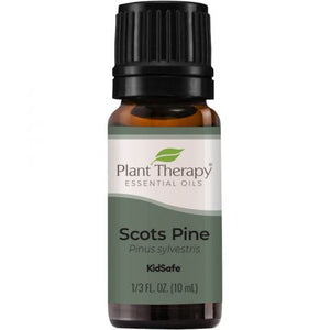 Scots Pine Essential Oil - Oils