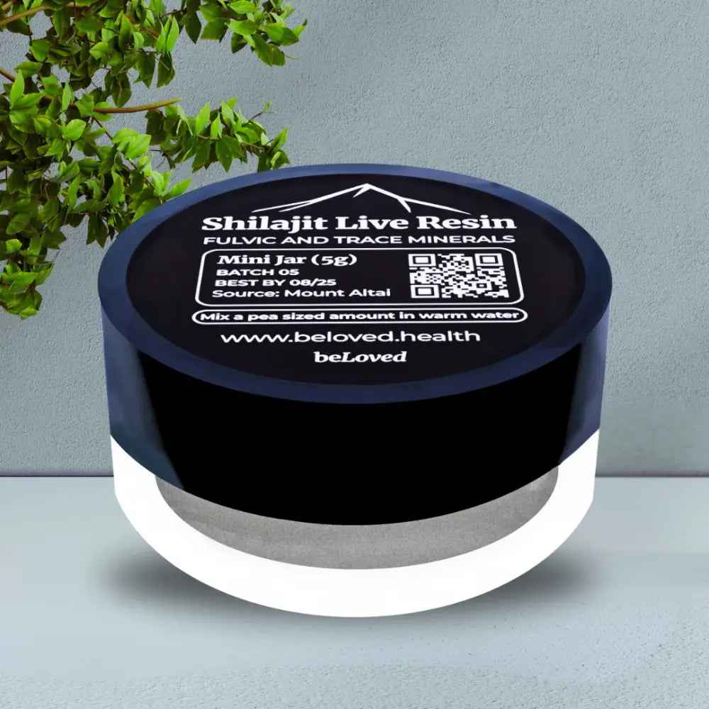 Shilajit Resin - Sage Jar (20 grams) - Supplements