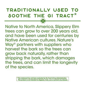 Slippery Elm Capsules - Supplements