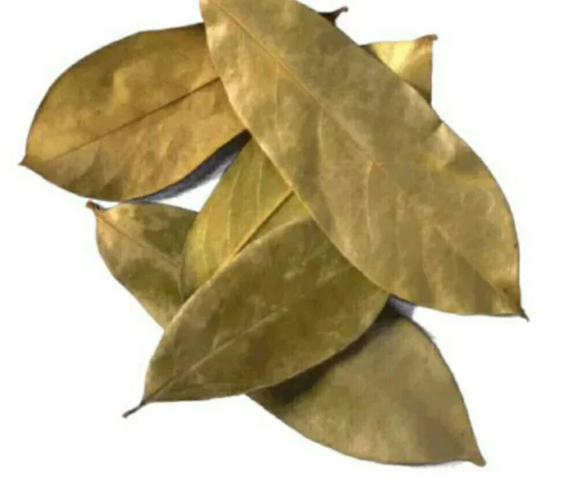 Soursop Leaves - Whole - Herbs Discover the powerful benefits of soursop sea moss and herbs! Boost immunity enhance