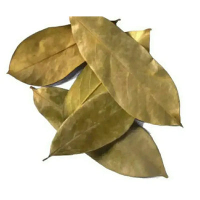 Soursop Leaves - Whole
