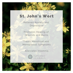 St. John’s Wort - Herbs