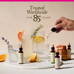Star of Bethlehem Bach Flower Remedies - Apothecary