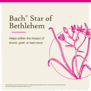 Star of Bethlehem Bach Flower Remedies - Apothecary