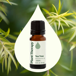 Tea Tree Essential Oil - Oils