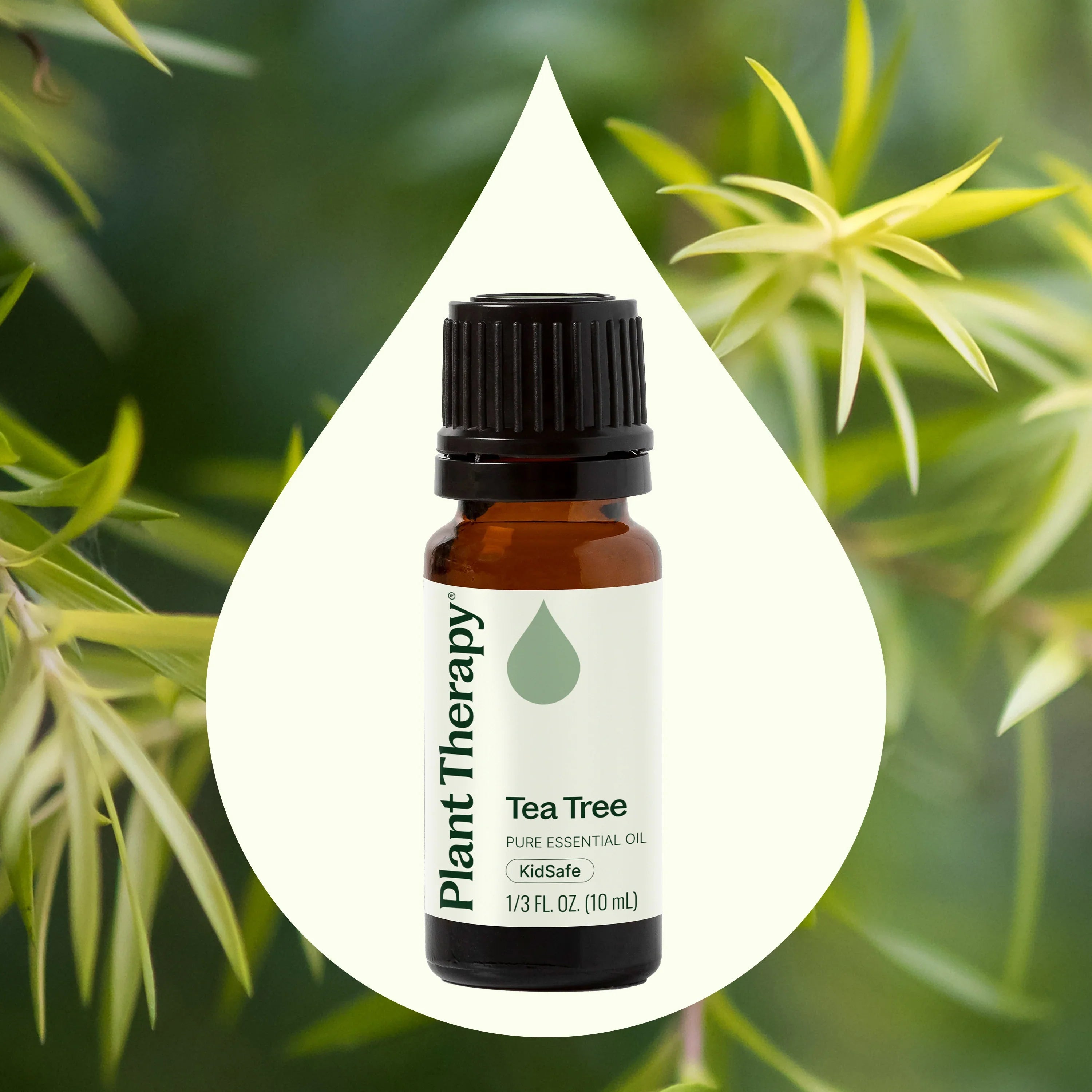 Tea Tree Essential Oil - Oils