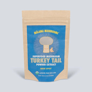 Turkey Tail Powder