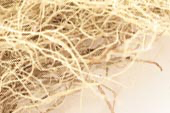 Usnea Lichen Whole - Herbs