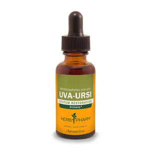 Uva Ursi Extract - Extracts