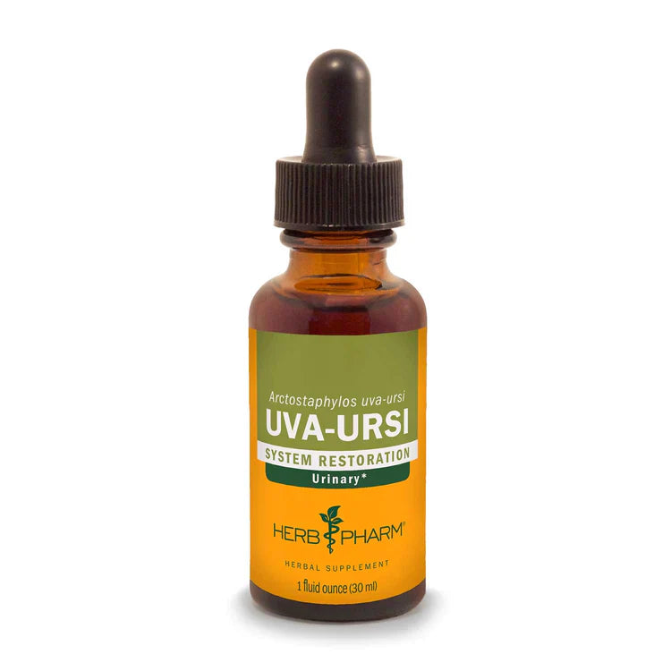Uva Ursi Extract - Extracts