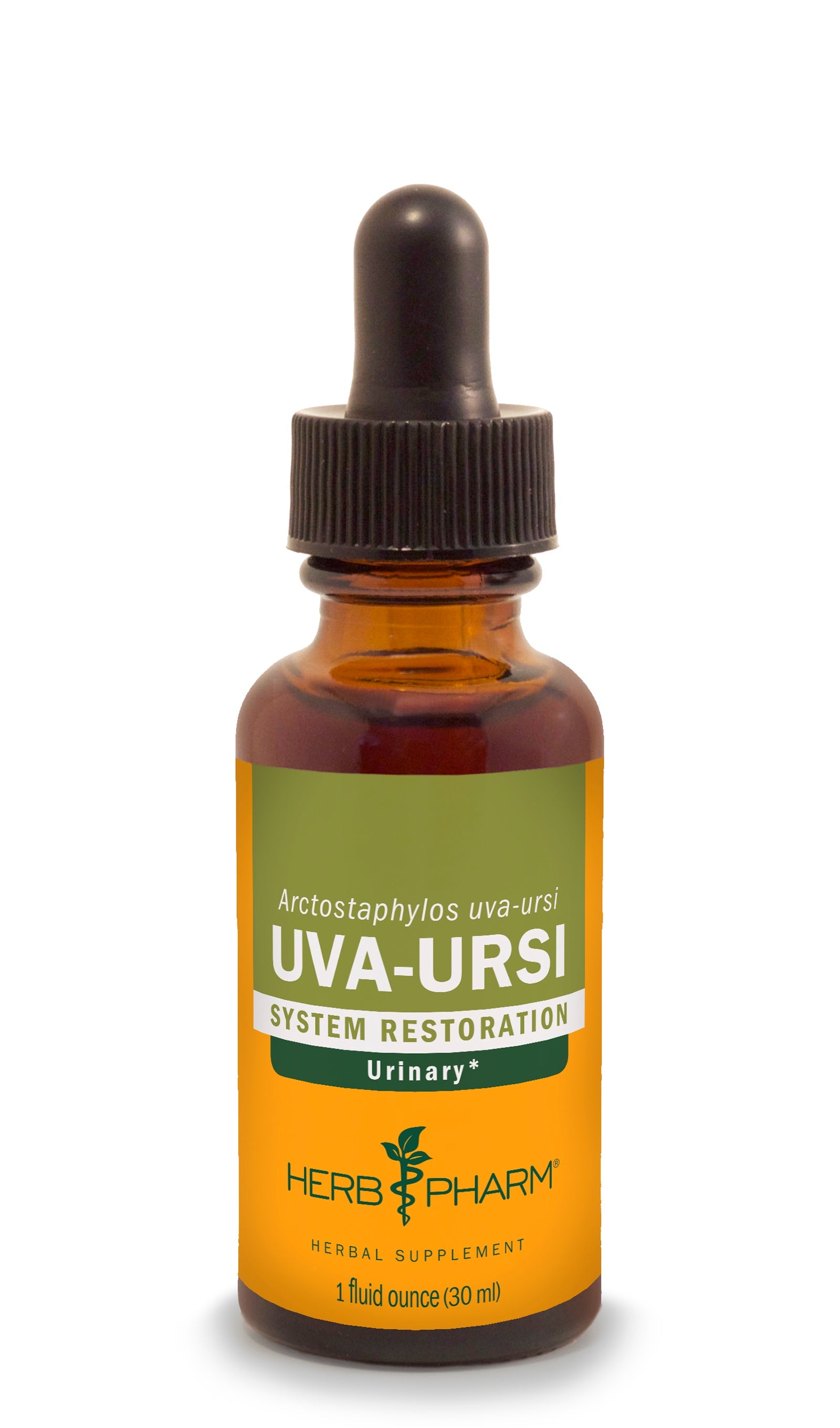 Uva Ursi Extract - Extracts