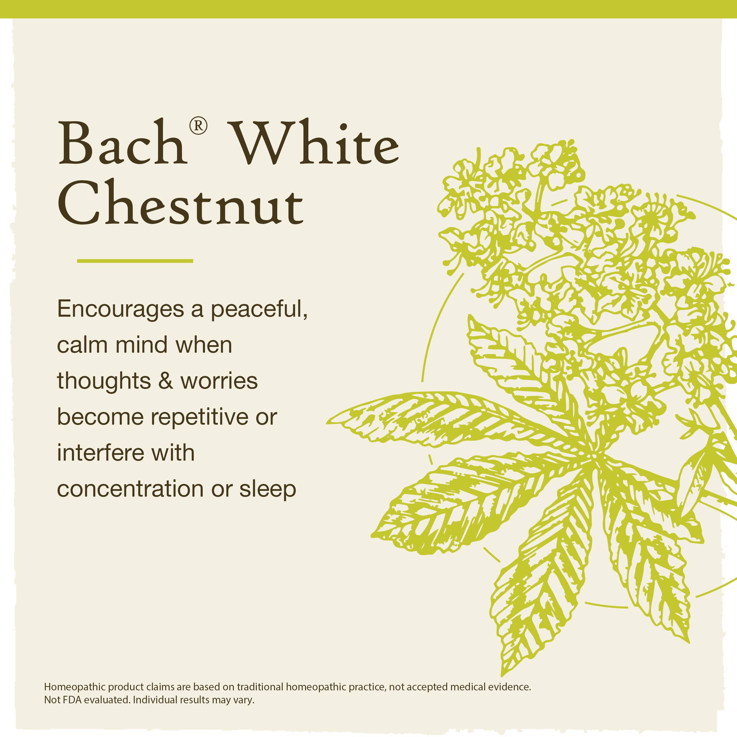 White Chestnut Bach Flower Remedies - Apothecary