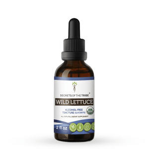 Wild Lettuce Tincture - Extracts