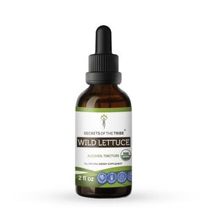 Wild Lettuce Tincture - Extracts