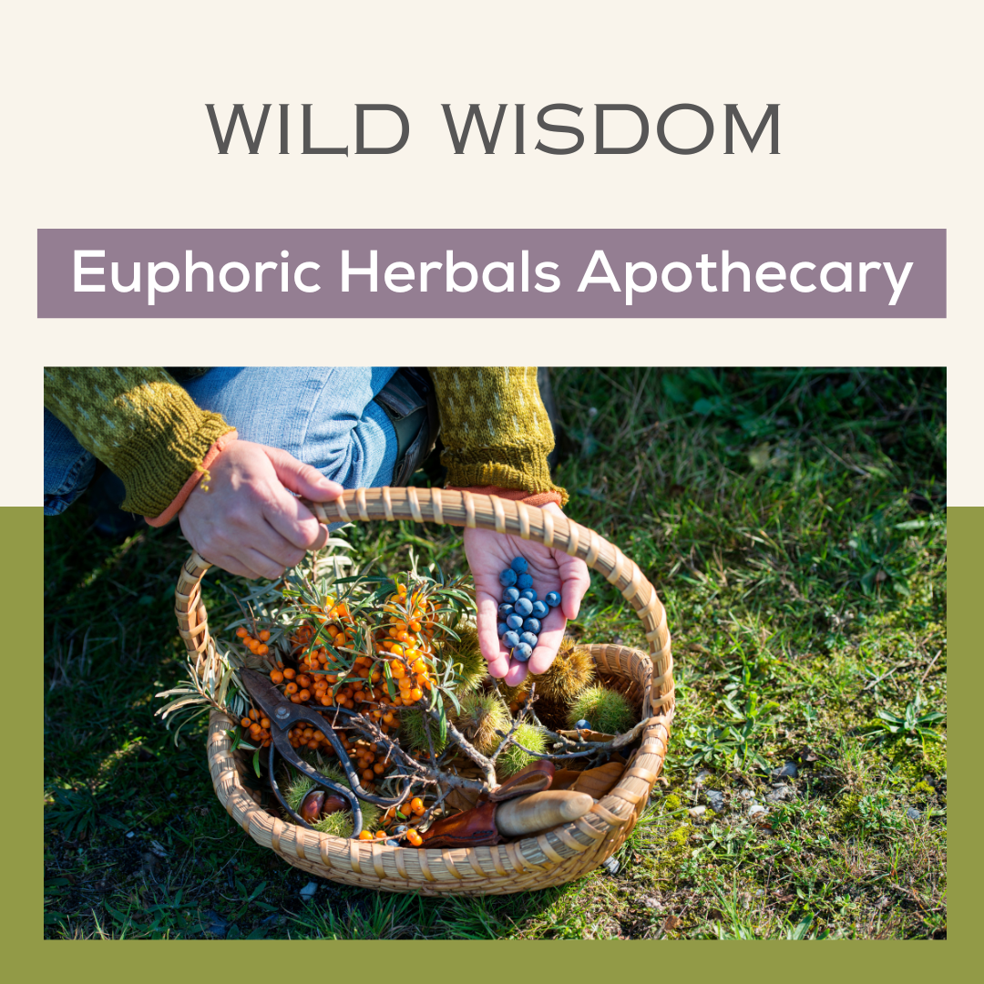 Wild Wisdom: Foraging & Forest Connection
