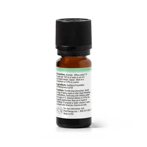 Wintergreen Essential Oil - Oils