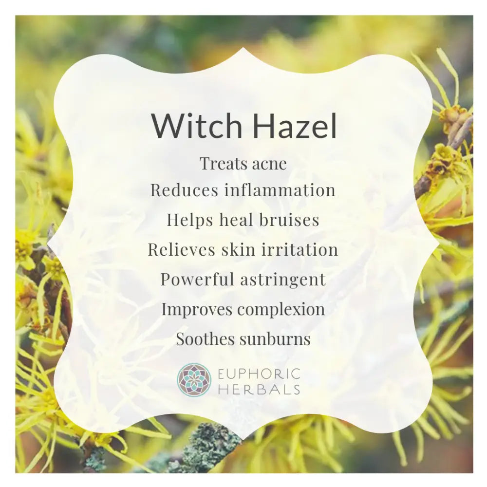 Witch Hazel Leaf - Herbs hazel leaf from Hamamelis virginiana plant provides tannins for skin. This herb reduces