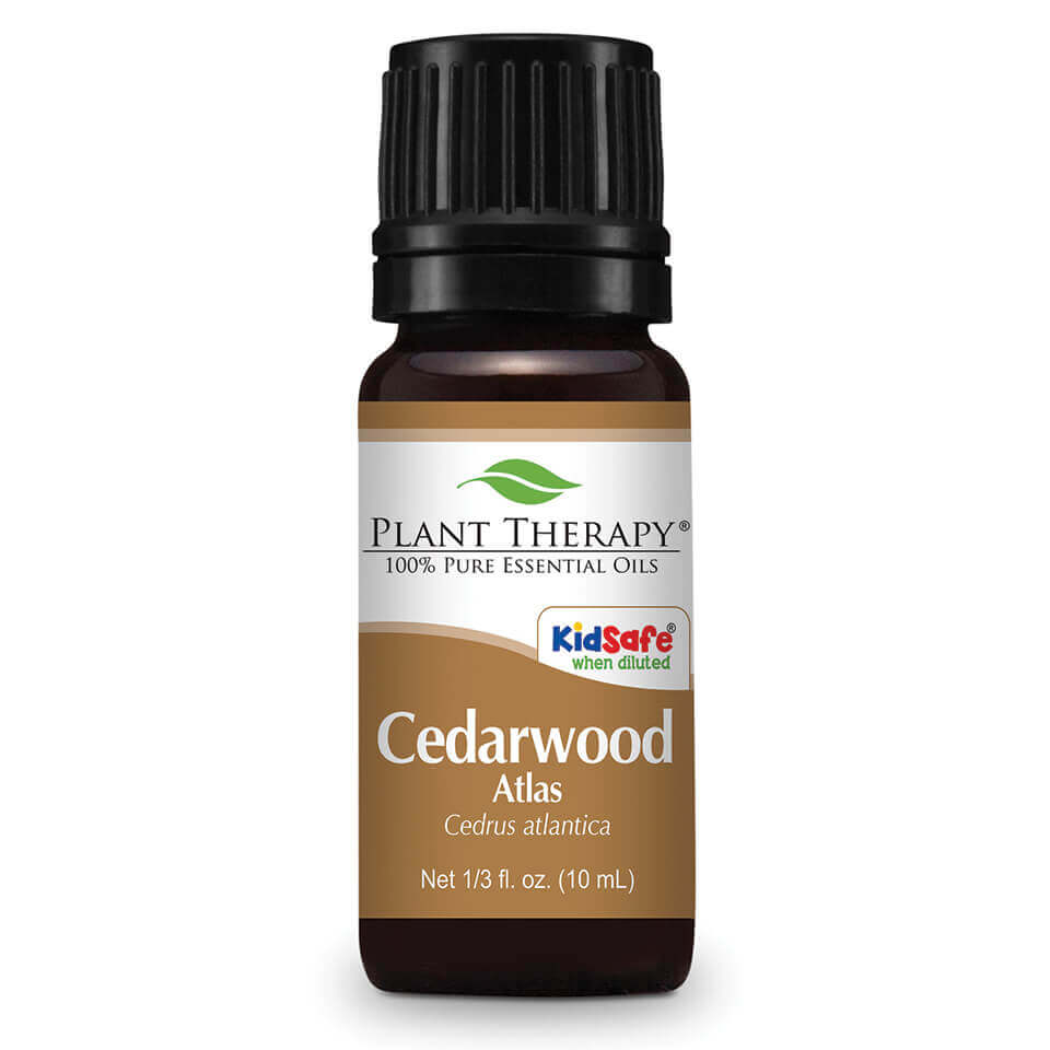 Cedarwood Atlas - Euphoric Herbals