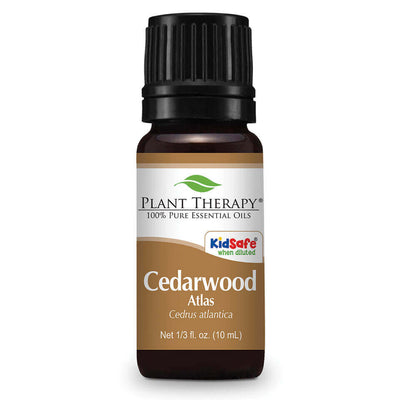 Cedarwood Atlas - Euphoric Herbals