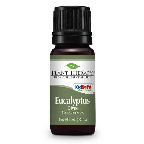 Eucalyptus Dives - Euphoric Herbals