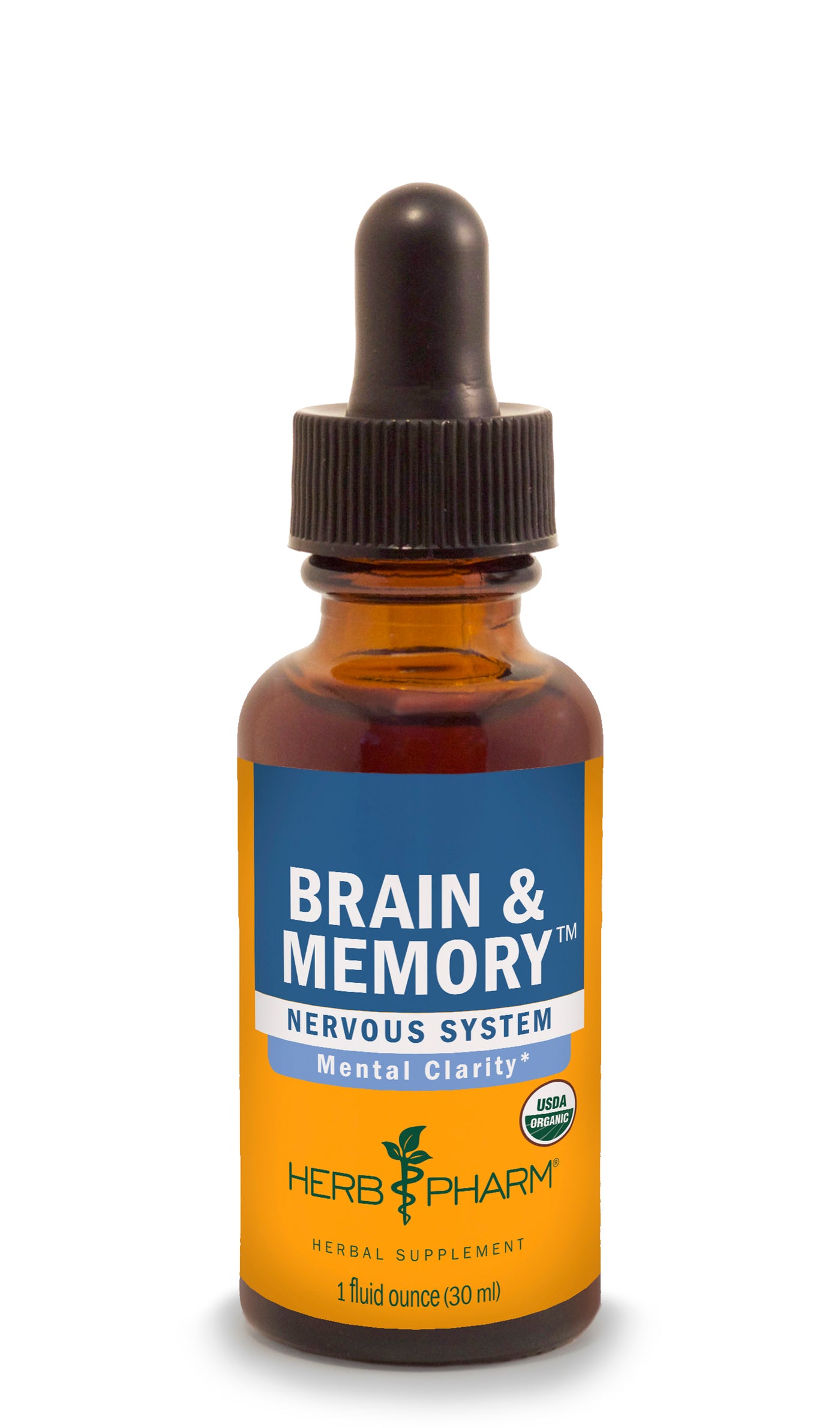 Brain and Memory - Euphoric Herbals