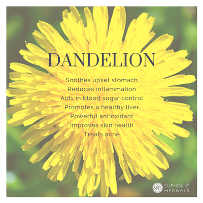 Dandelion Leaf