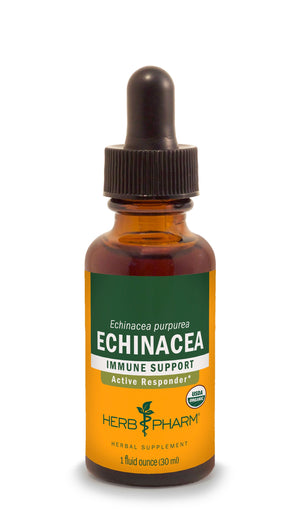 Echinacea - Euphoric Herbals